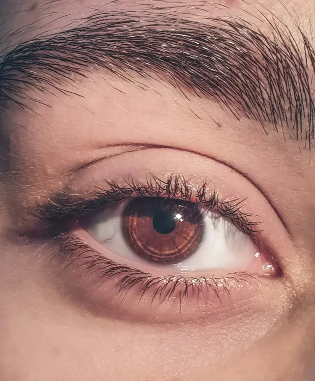 Occhio con sopracciglio pieno e ordinato dopo la laminazione